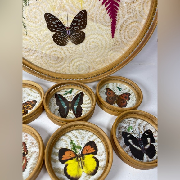 Vintage Bamboo/Rattan/Glass pressed flower & Butterfly tray/coaster set 7 pcs - Picture 3 of 16